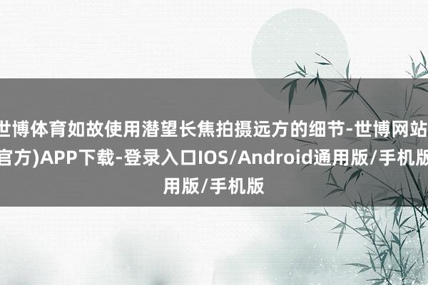 世博体育如故使用潜望长焦拍摄远方的细节-世博网站(官方)APP下载-登录入口IOS/Android通用版/手机版