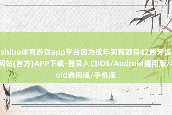 shibo体育游戏app平台因为成年狗狗领有42颗牙齿-世博网站(官方)APP下载-登录入口IOS/Android通用版/手机版
