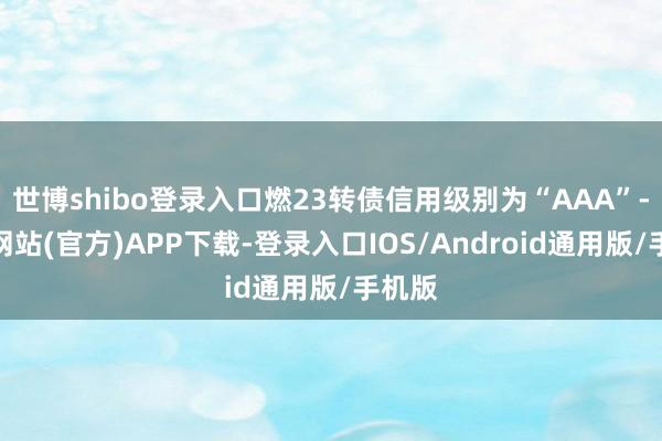 世博shibo登录入口燃23转债信用级别为“AAA”-世博网站(官方)APP下载-登录入口IOS/Android通用版/手机版