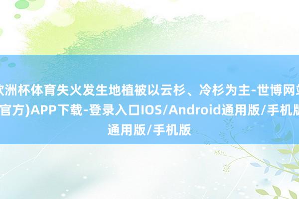 欧洲杯体育失火发生地植被以云杉、冷杉为主-世博网站(官方)APP下载-登录入口IOS/Android通用版/手机版