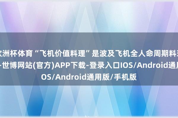 欧洲杯体育“飞机价值料理”是波及飞机全人命周期料理的伏击责任-世博网站(官方)APP下载-登录入口IOS/Android通用版/手机版