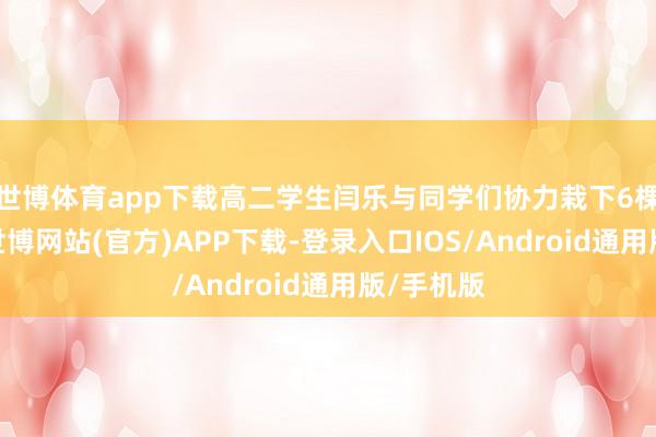 世博体育app下载高二学生闫乐与同学们协力栽下6棵国槐后-世博网站(官方)APP下载-登录入口IOS/Android通用版/手机版